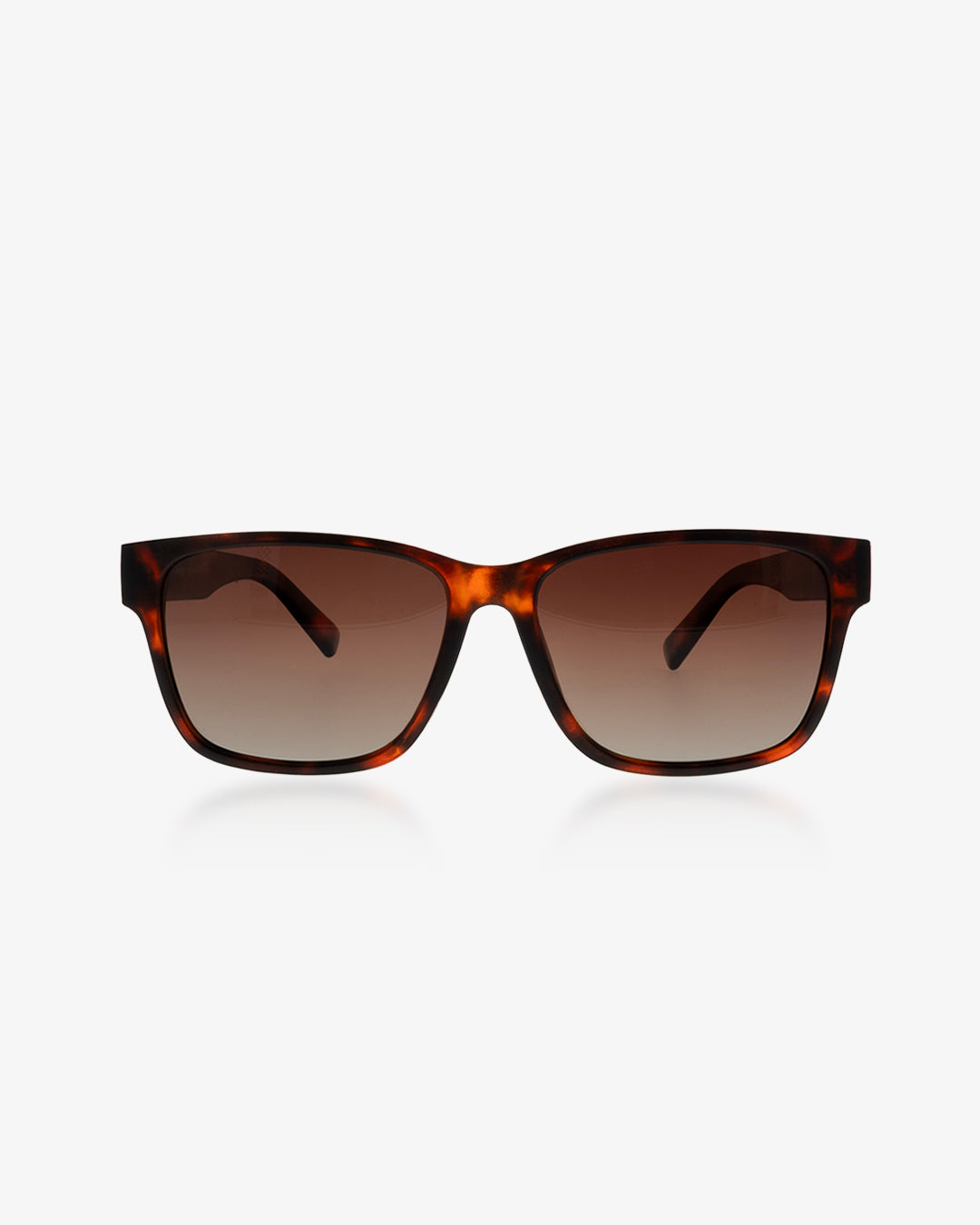 brown tortoise sunglasses - SG003-TB